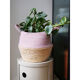 front2 500x500